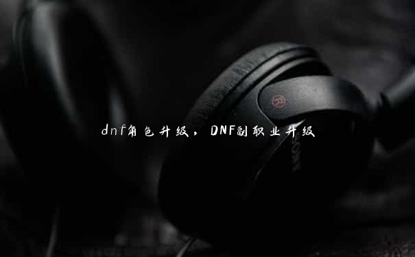 dnf角色升级，DNF副职业升级