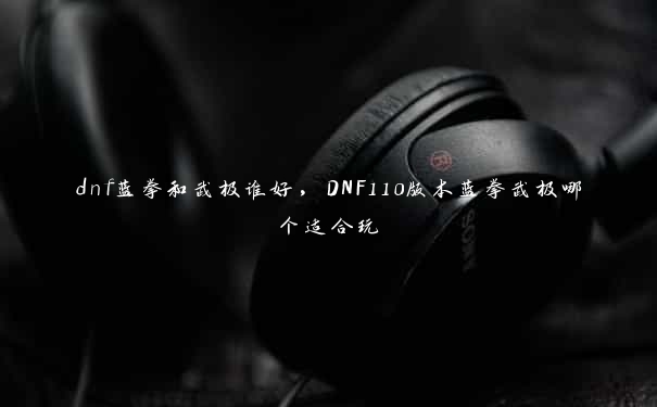 dnf蓝拳和武极谁好，DNF110版本蓝拳武极哪个适合玩