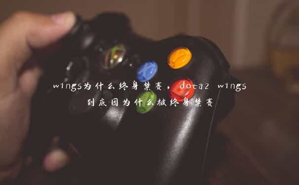 wings为什么终身禁赛，dota2 wings到底因为什么被终身禁赛