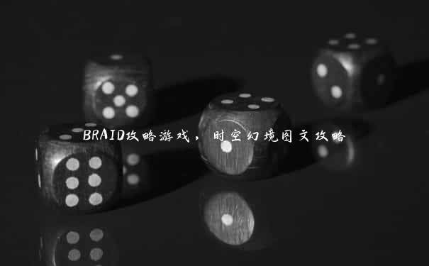 BRAID攻略游戏，时空幻境图文攻略